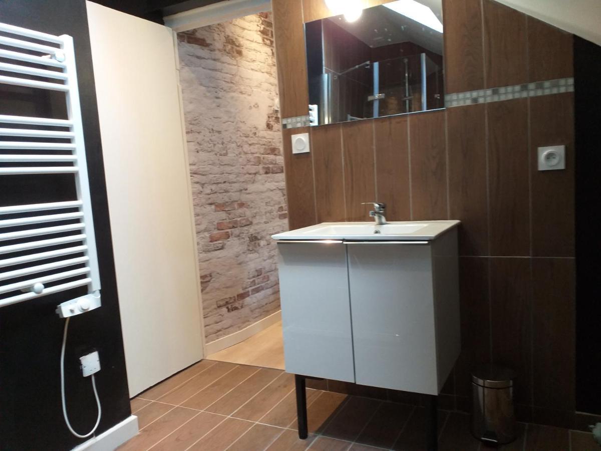 Les Volets Bleus - Deux Appartements Et Un Studio, Jardin Bourges Exterior photo