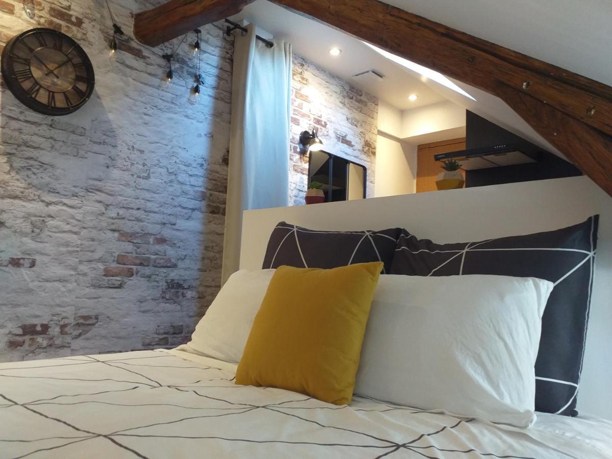 Les Volets Bleus - Deux Appartements Et Un Studio, Jardin Bourges Exterior photo
